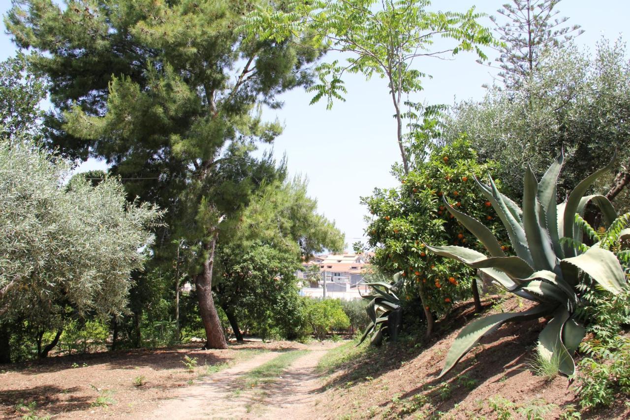 Tenuta Conte Ruggero Santa Domenica  Ngoại thất bức ảnh