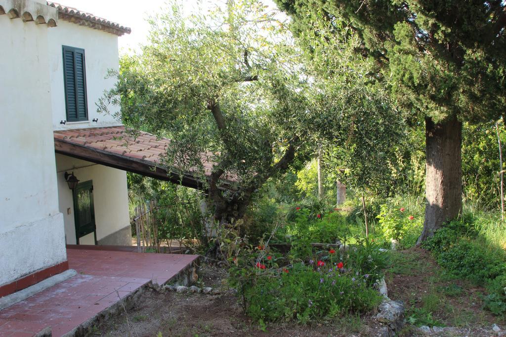 Tenuta Conte Ruggero Santa Domenica  Phòng bức ảnh